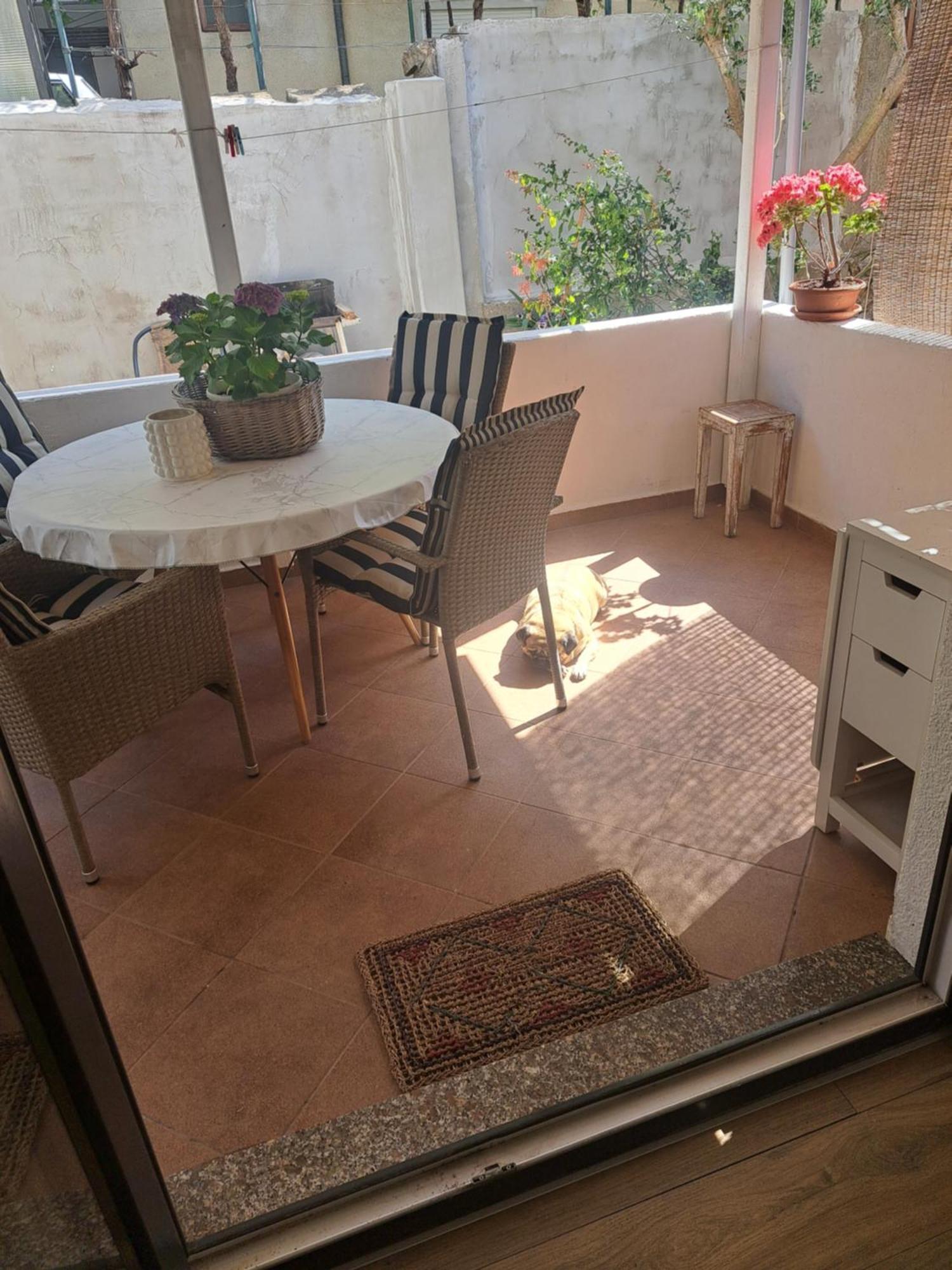 Apartman Petra Zadar